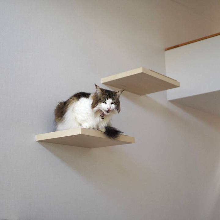 Fbebbc35 f315 44eb 8a99 8ae5abeab8a8 1633225964008