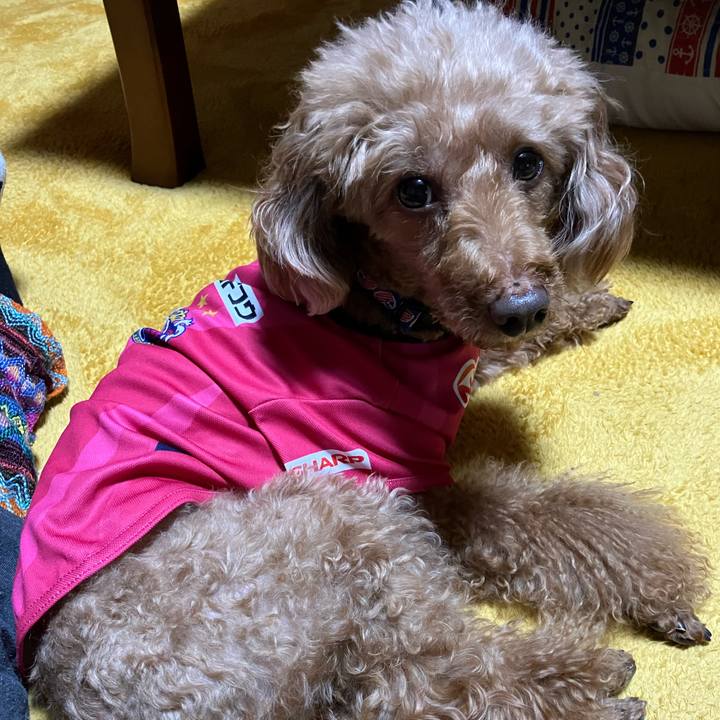 Fbebbfea 8a0e 4d7c 92af 6780ffd19f17 1652846730945