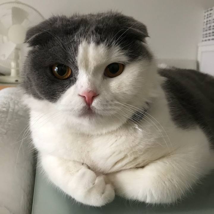 Fbebc2d3 7735 4299 a6a3 519e40b9d7e3 1528668765444