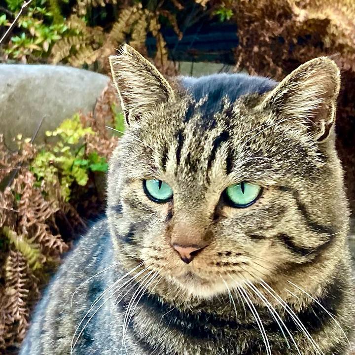 Fbec1342 a159 40c2 a3c8 99e63f8396e2 1639552817730