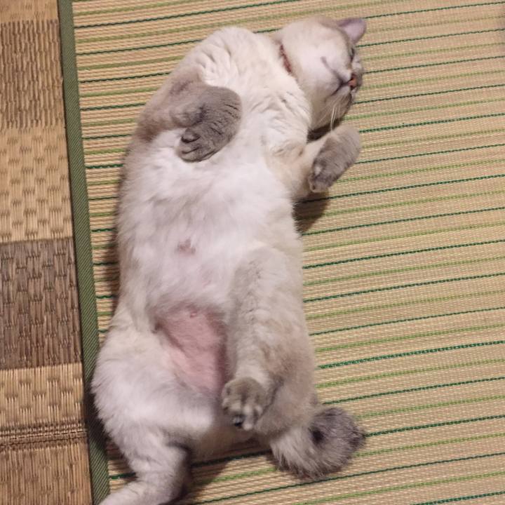 Fbec9a91 2df1 46be 81af abedd9e7e1fb 1533475780214