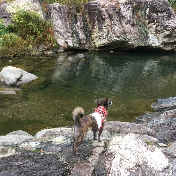 Fbecb61c 5eee 4a42 bcaa f016e39e4825 1511177542257