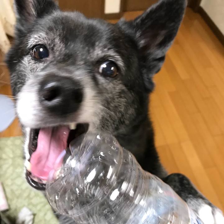 Fbecec3f eb3d 42d7 981d ff7cf41e95ca 1535464646277