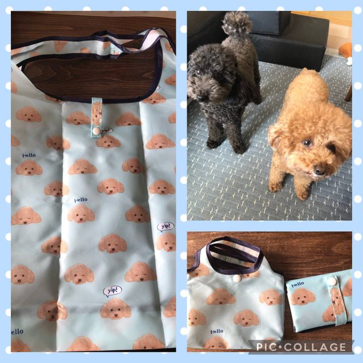 Fbed6515 f15c 43dc 84a4 5797330c42bc 1615267502496