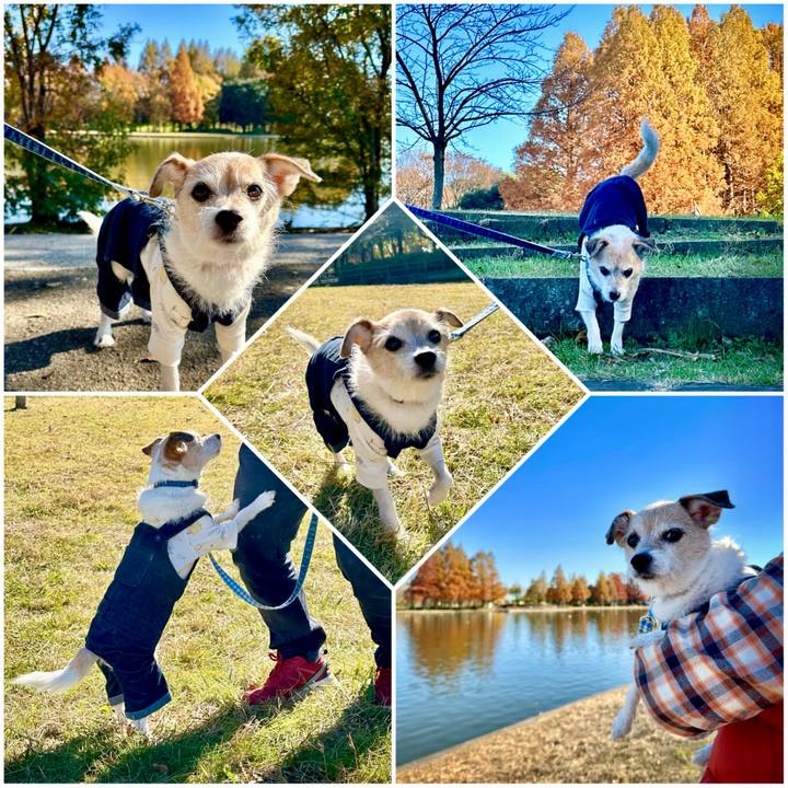 Fbeda75a 6771 471a ac05 3d89cec0529e 1701501004327