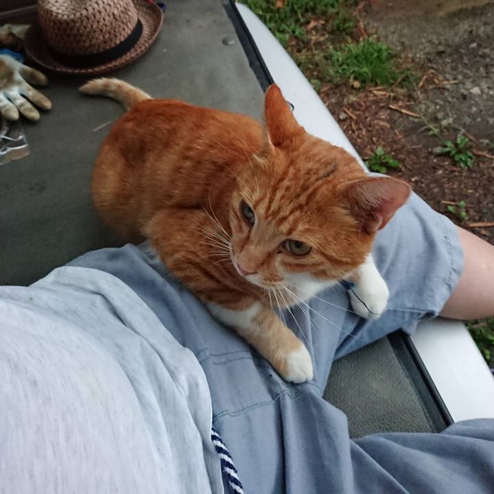 Fbeddfa8 681e 4c2e 82c6 72032f87db05 1599728377931