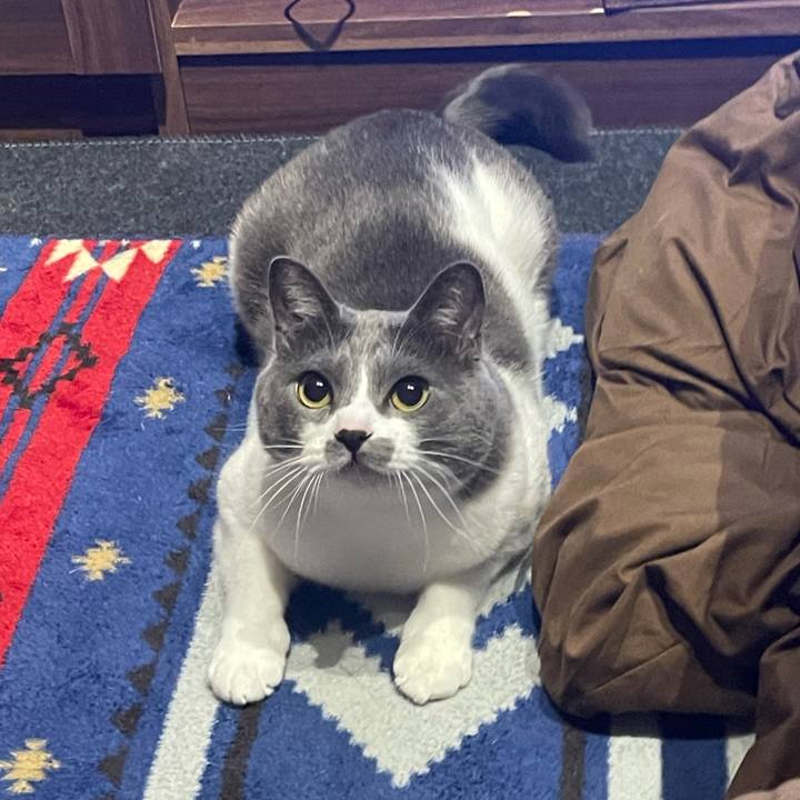 Fbedf211 477b 4d1e bdc8 72890782ab71 1673597053018