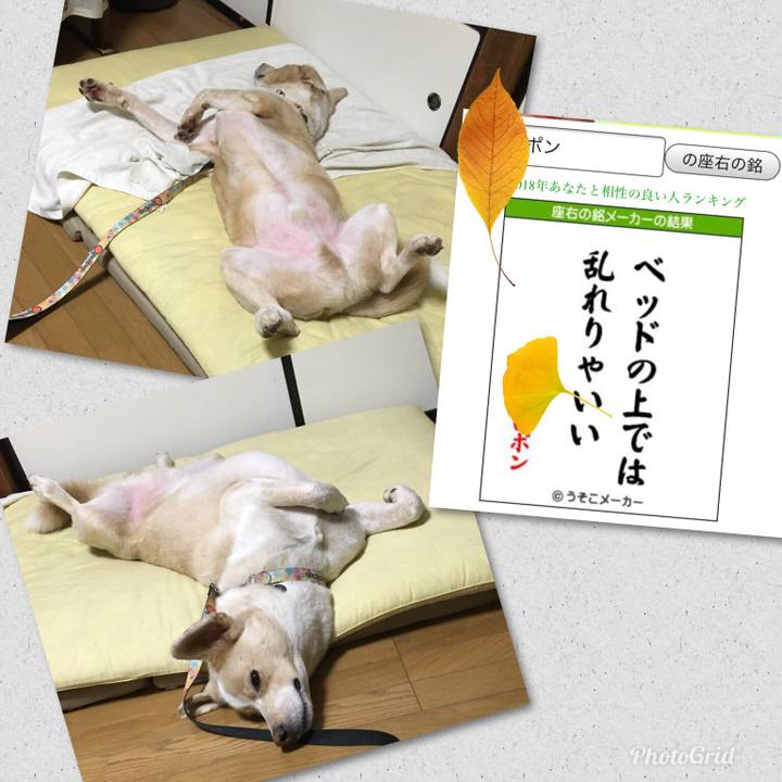 Fbee2071 5d95 439f 8041 7630204c397a 1539356430899