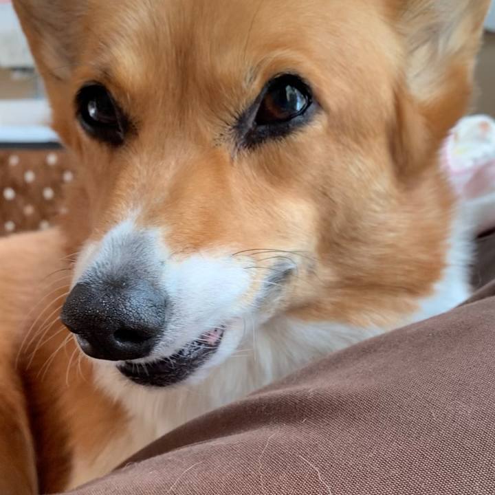 Fbee221b 51a0 400f 9c87 7228a4ceedb0 1640603575131