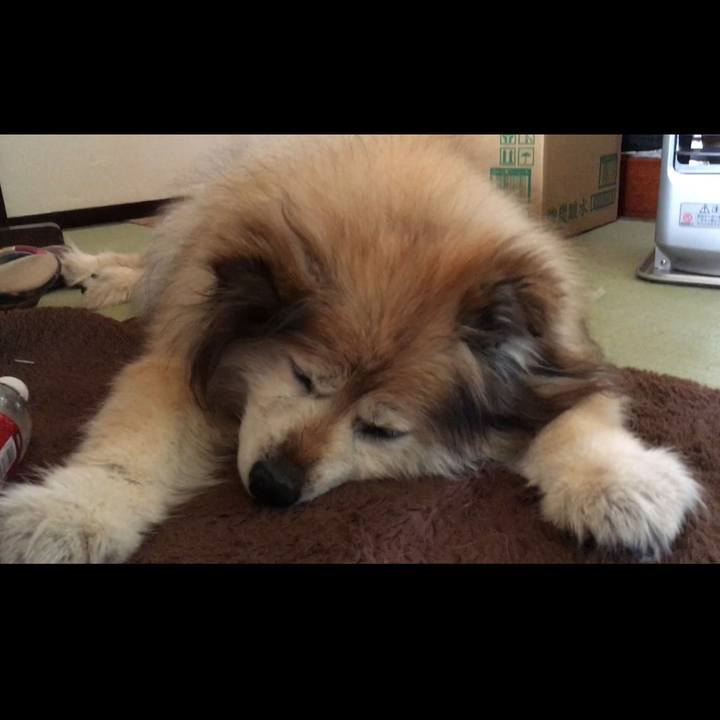 Fbeeb7b2 839a 4d9e aace e90a100a48cc 1640438672174