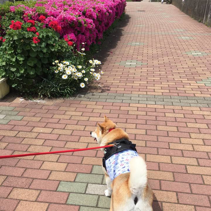 Fbeec03b 2746 43bb a781 c04919018b60 1557113273864