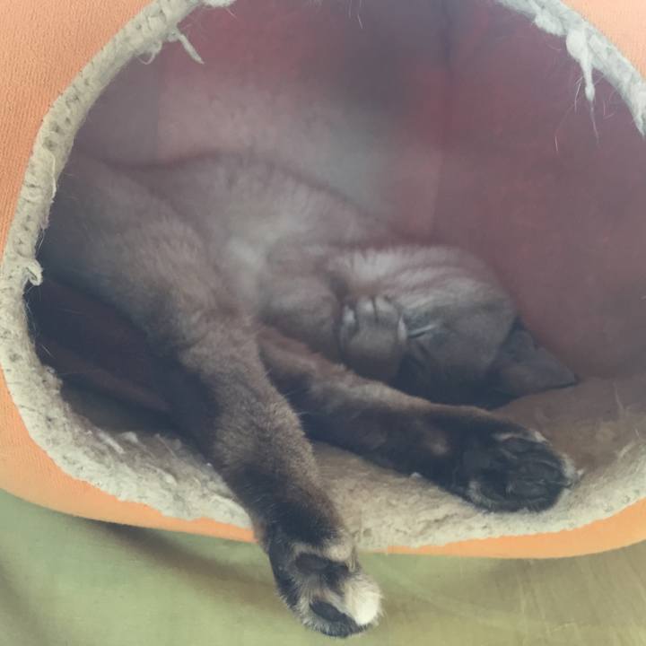 Fbef0b79 d803 4077 9222 6382c854892e 1588992296802