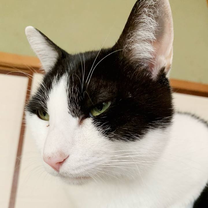 Fbef25d2 2038 4300 8bd5 32d26944dd3e 1543022386842