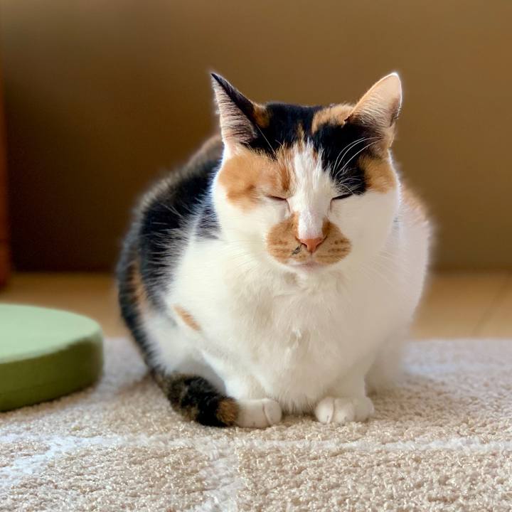 Fbef26cf 95f2 453c 836f d5ebd051035d 1768813473330