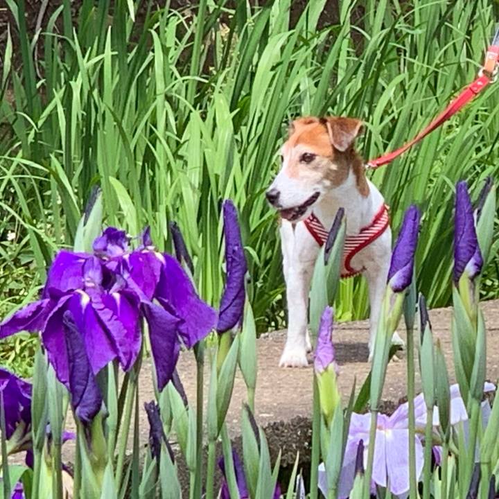 Fbef613d 7602 420d 9006 19bef08aff58 1561564967692