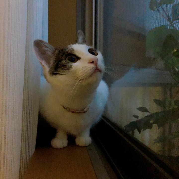 Fbef8fb1 033f 4a33 be90 47317dd956c6 1593779576249