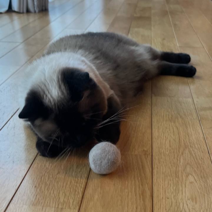 Fbefc46d 8f30 43f2 ac55 e2902a660235 1656812865944