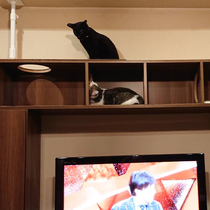 Fbefd83f 3b84 4099 a080 a9afb4f7a65b 1560433502637