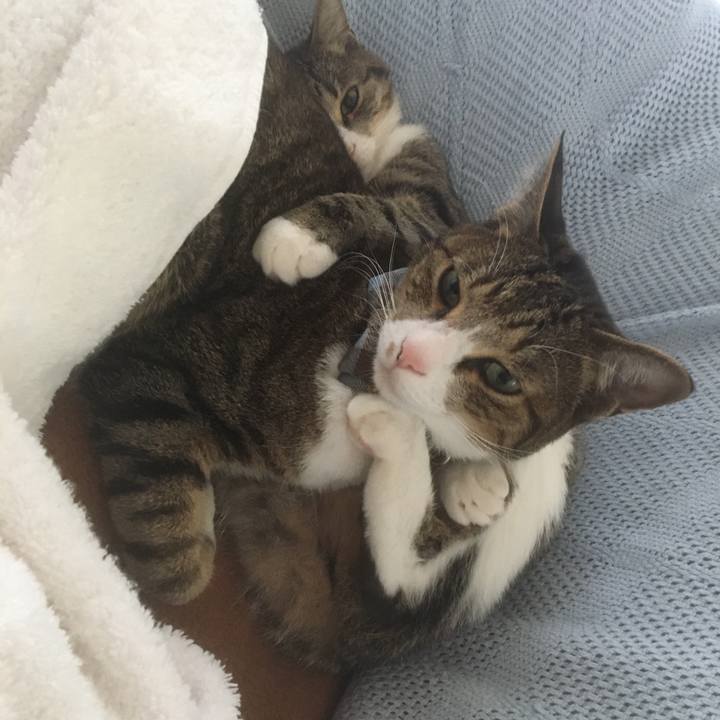 Fbefe413 d822 4ccd 98e8 a141c742a2a4 1702386853301