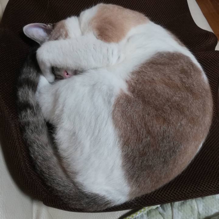 Fbf0000f f731 432c 84ba 42618f17f57d 1567425968459