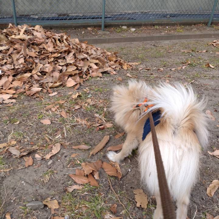 Fbf05b4e 302b 4887 b043 2c9ff4f47b13 1740704599698