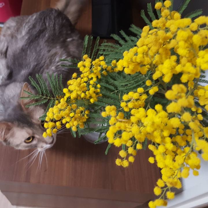 Fbf08308 2114 4505 ab3d 458388b81a99 1581224305800