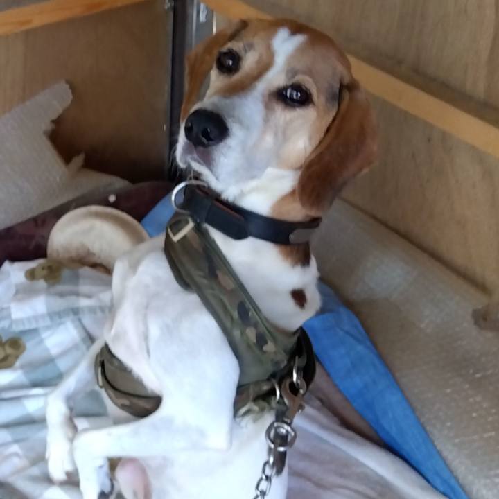 Fbf09209 116a 42a4 b766 b1ded96cdca2 1696240483294