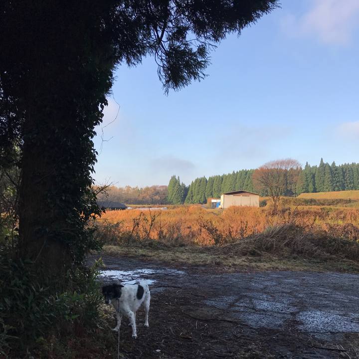 Fbf0961e dc94 4b9d 93a6 992b3bee642c 1511753562356