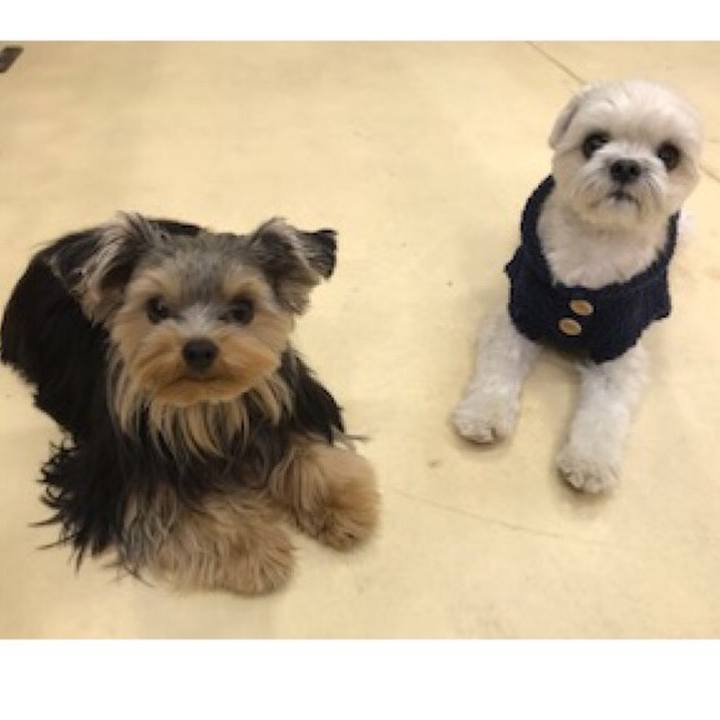 Fbf0a647 100c 49fb 87cd 3387a0bd60a9 1513339842181