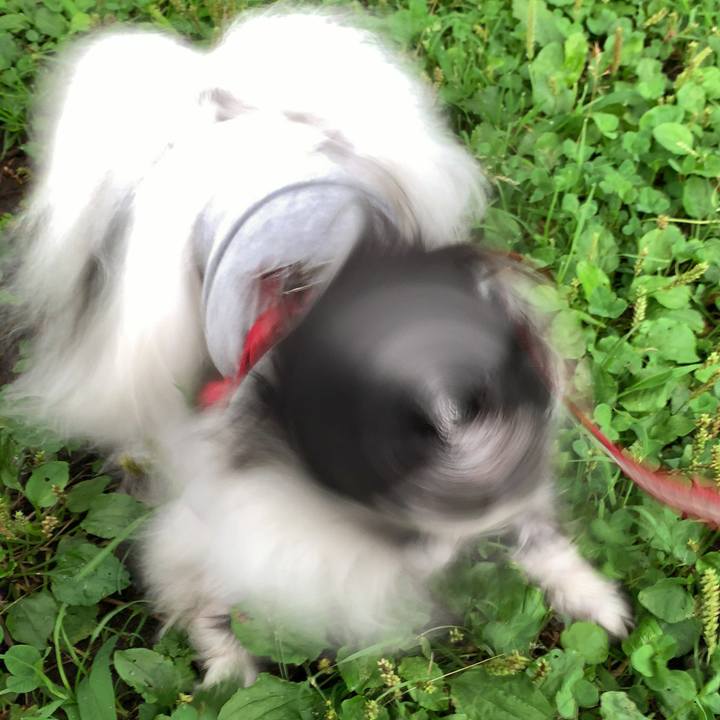 Fbf0f38e f5f9 4cd0 8a2b 992291f8a357 1561409842930