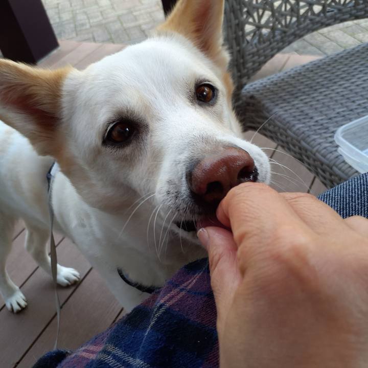 Fbf1555f 3f6f 4621 89b3 193953739e5a 1680324017892