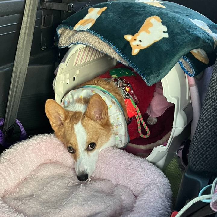 Fbf17d5e bd1c 4b14 8c7d 1a78d78d1e1c 1765617935892