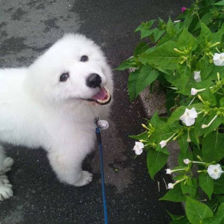 Fbf180ff 44da 40d6 acc7 8b5cbc625e71 1688861361547