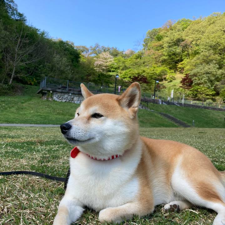 Fbf1bd90 0aab 4a32 b663 72f65b652c4e 1651448181126