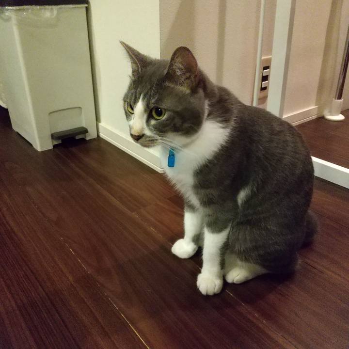 Fbf1c90c 453b 410c a351 9489382f4fc7 1599055391928