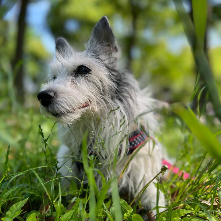 Fbf1ca63 7e16 4e6b b7ac adc0a7095427 1682755651851