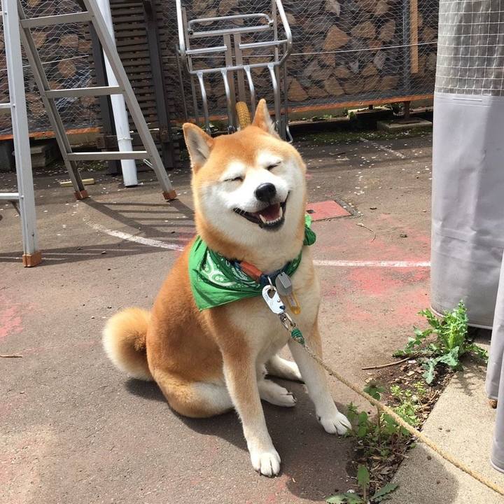 Fbf1db27 2df1 496b 9c42 5d51b73d715f 1556417574578