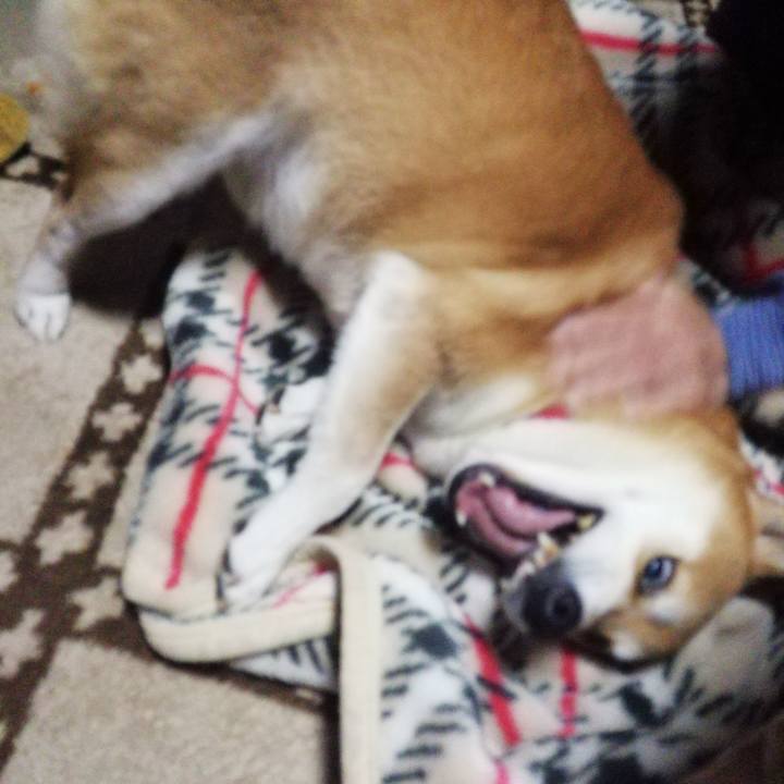 Fbf1e2b2 5fb1 484d 81c7 fcb897c0c38a 1605952137532