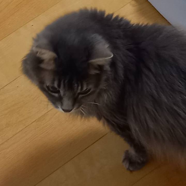 Fbf1f197 1d8d 42d7 9f81 eed1f900ff5d 1695683266325