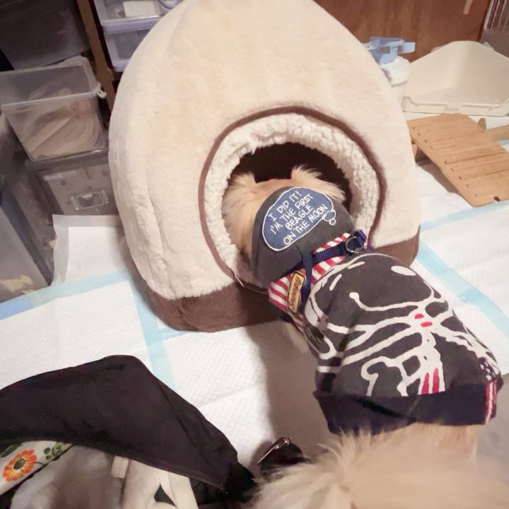 Fbf1f534 0e49 4d4d 92ce 595db171005b 1737017437925