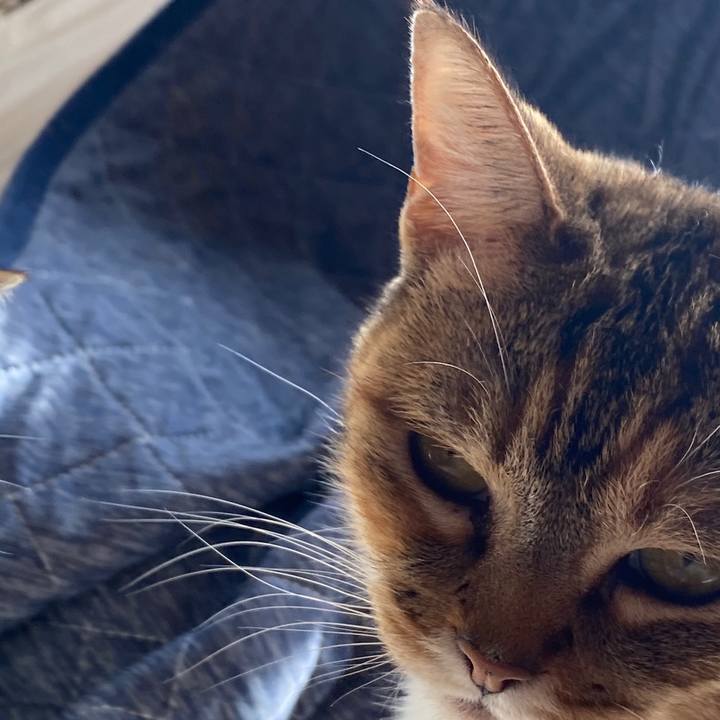 Fbf22f90 676a 449c b4f8 7c14ce18ed84 1584329840524