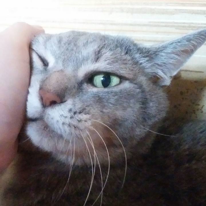 Fbf23b2a 4740 4d34 a5ea eaf35a4d20c4 1562369959845