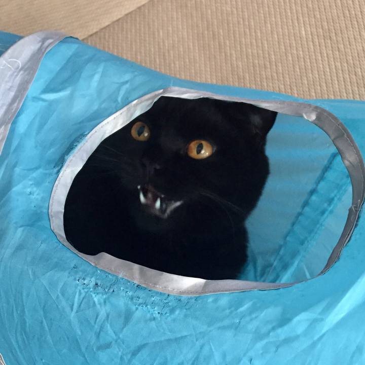 Fbf2888b 3312 4508 aa8d f00be5c39a31 1532732582865