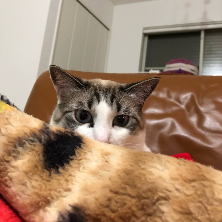 Fbf2b9a3 fb0c 45c1 aeb5 5761eff1bed4 1548759725160