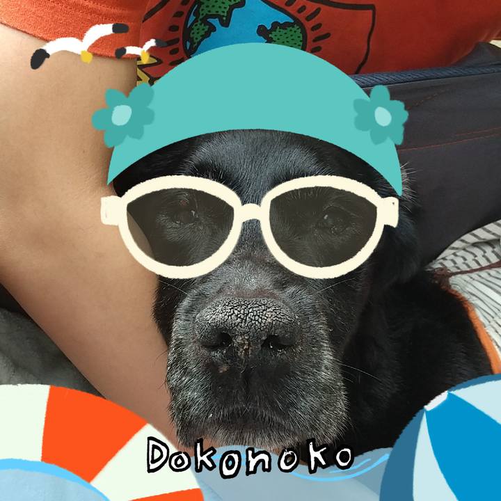 Fbf3184d f4ba 4c69 b275 1fc19bafcd73 1723180296396