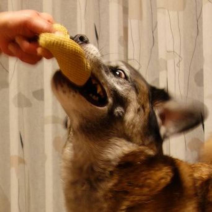 Fbf36831 0bcf 4e9f a1c5 186dd7315366 1507643841507