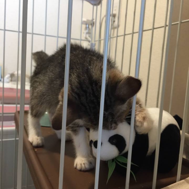 Fbf377cd 958c 47b1 bdb4 1a6966aebd16 1533456517373