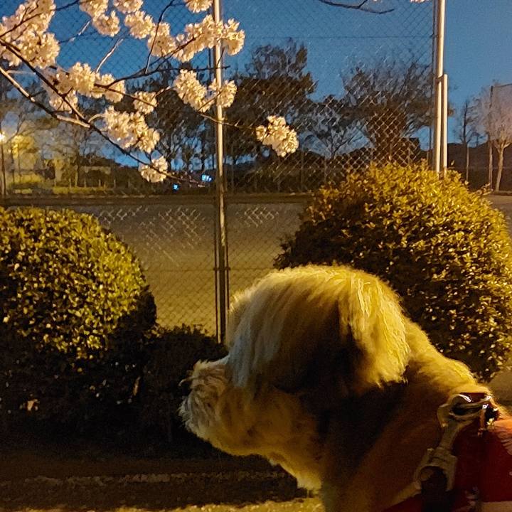 Fbf38e51 06db 4b79 873e c527982517df 1617027405607