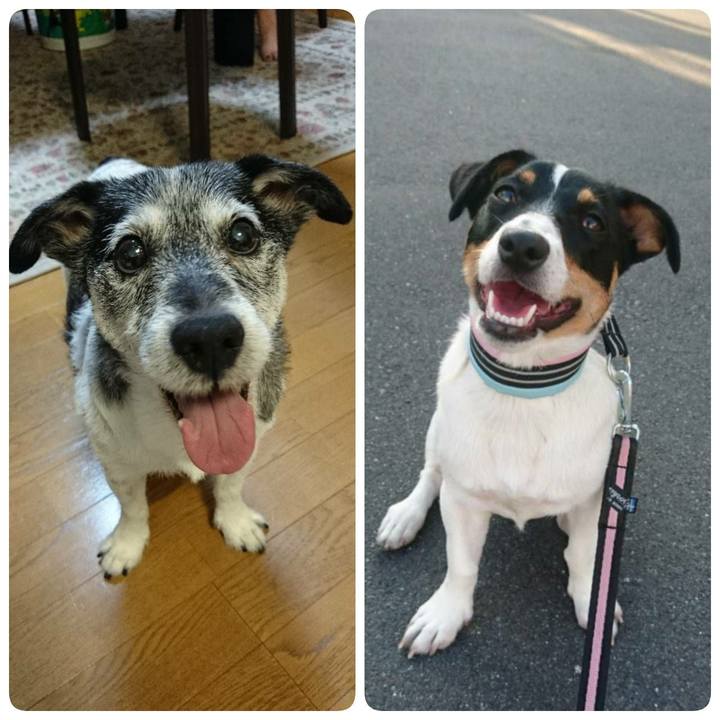 Fbf3a42c 7e6f 4681 a2ec d48f6201173a 1528149006541