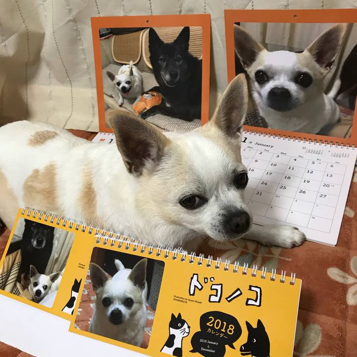 Fbf4091d 6b17 4b61 a64f a346aaceb1a7 1512721482821